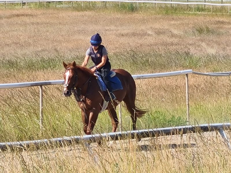 22 days into retraining, 1st day cantering.