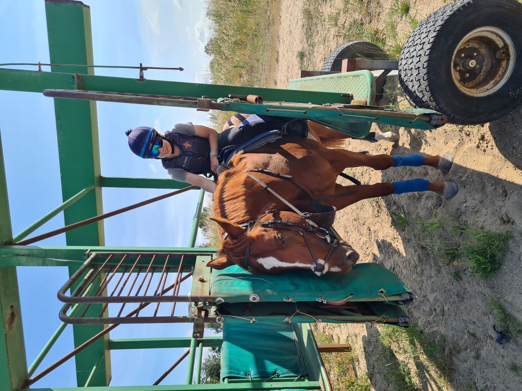 Starting stalls/gates part of the daily routine.